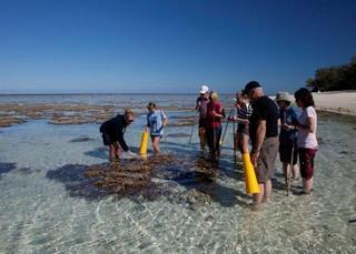Lady Elliot Island Eco Resort Екстер'єр фото